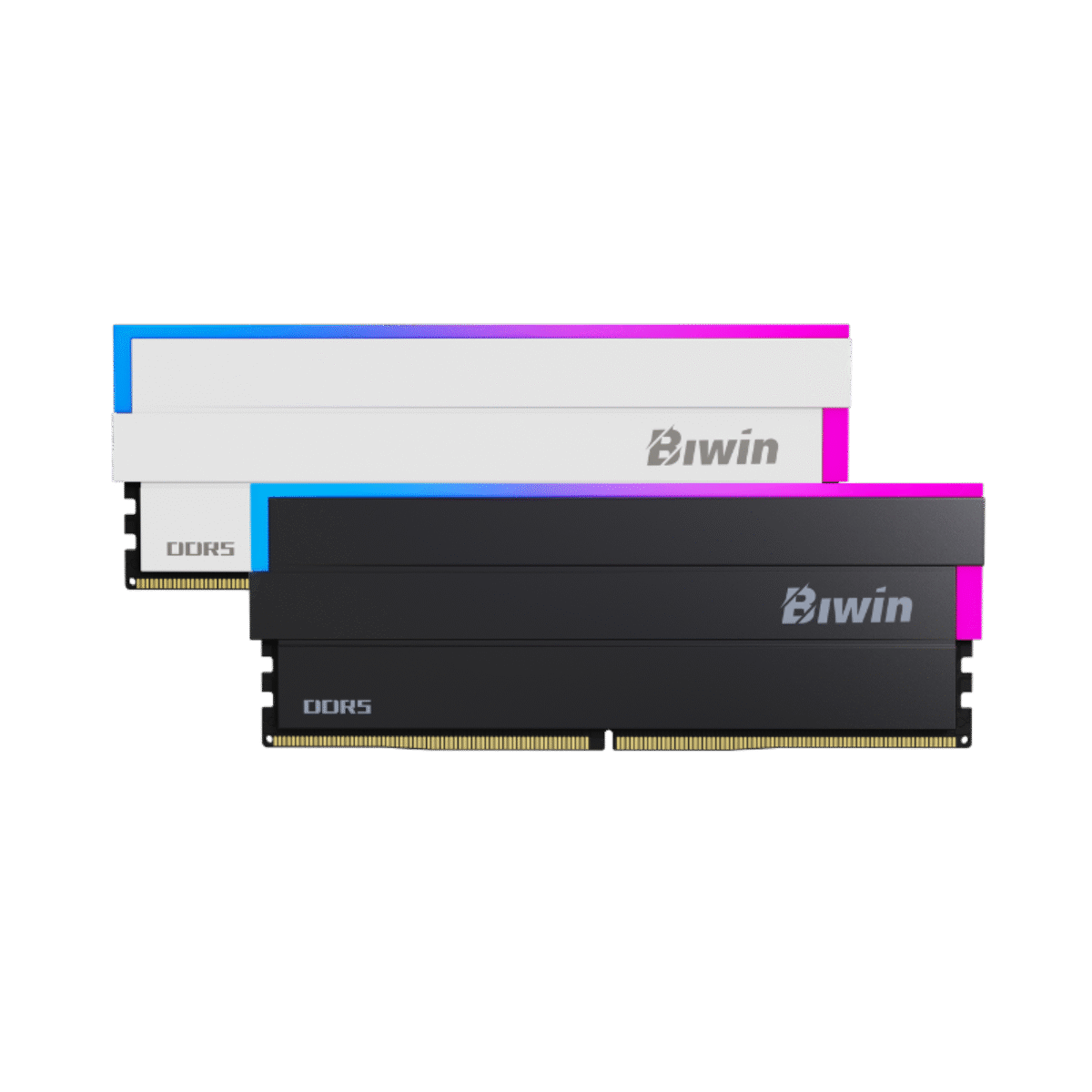 Biwin Black Opal DW100 DDR5 メモリ | RGB対応 ゲーミングPC用メモリ