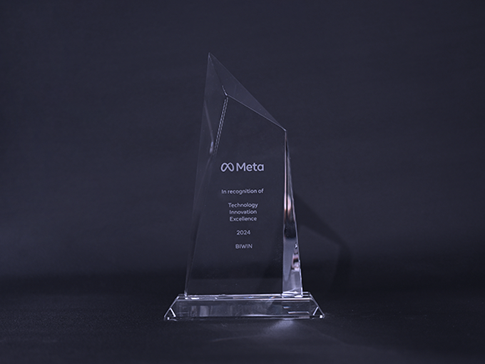 Biwin won the Meta Award 2024